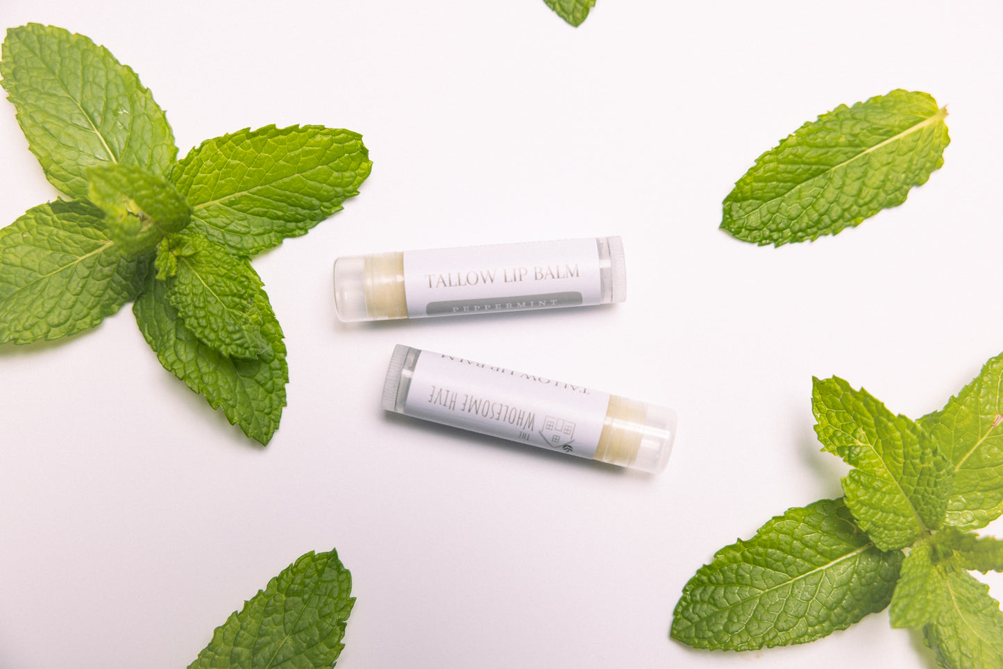 Peppermint Tallow Lip Balm